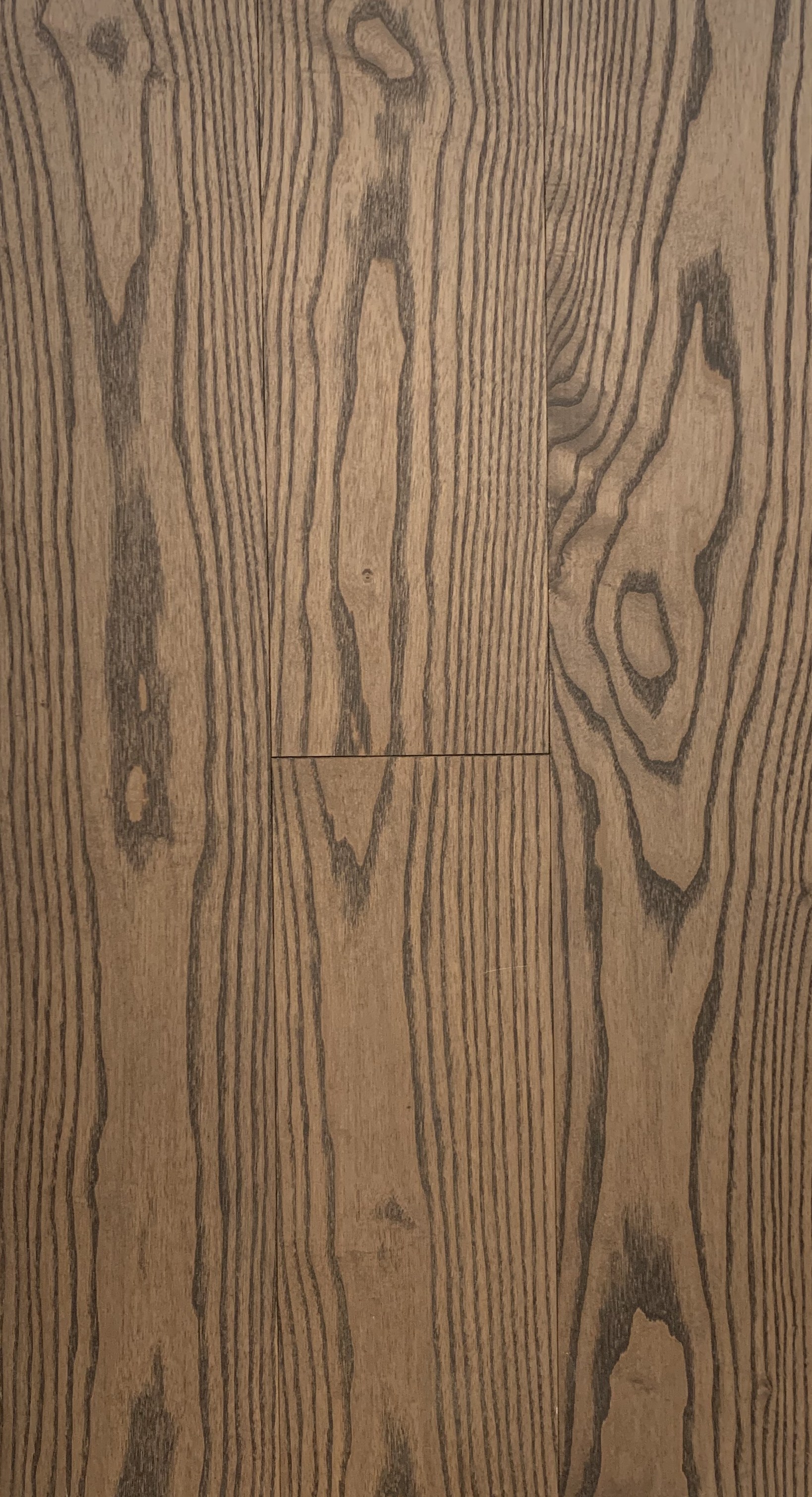 Инженерная доска Cora Wood Ash Wenge natur 1600-2400×155×16